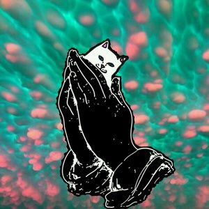 Meet your Posher, Randy